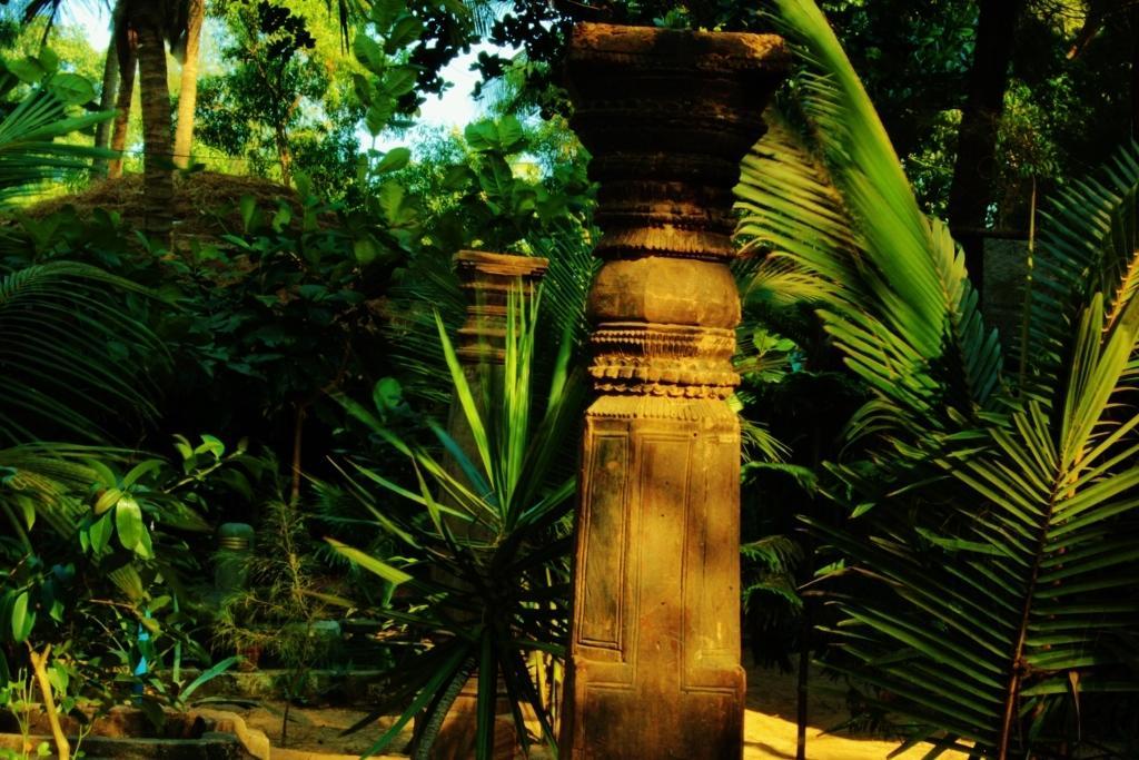 Hôtel Nirvana Nature à Gokarna  Extérieur photo